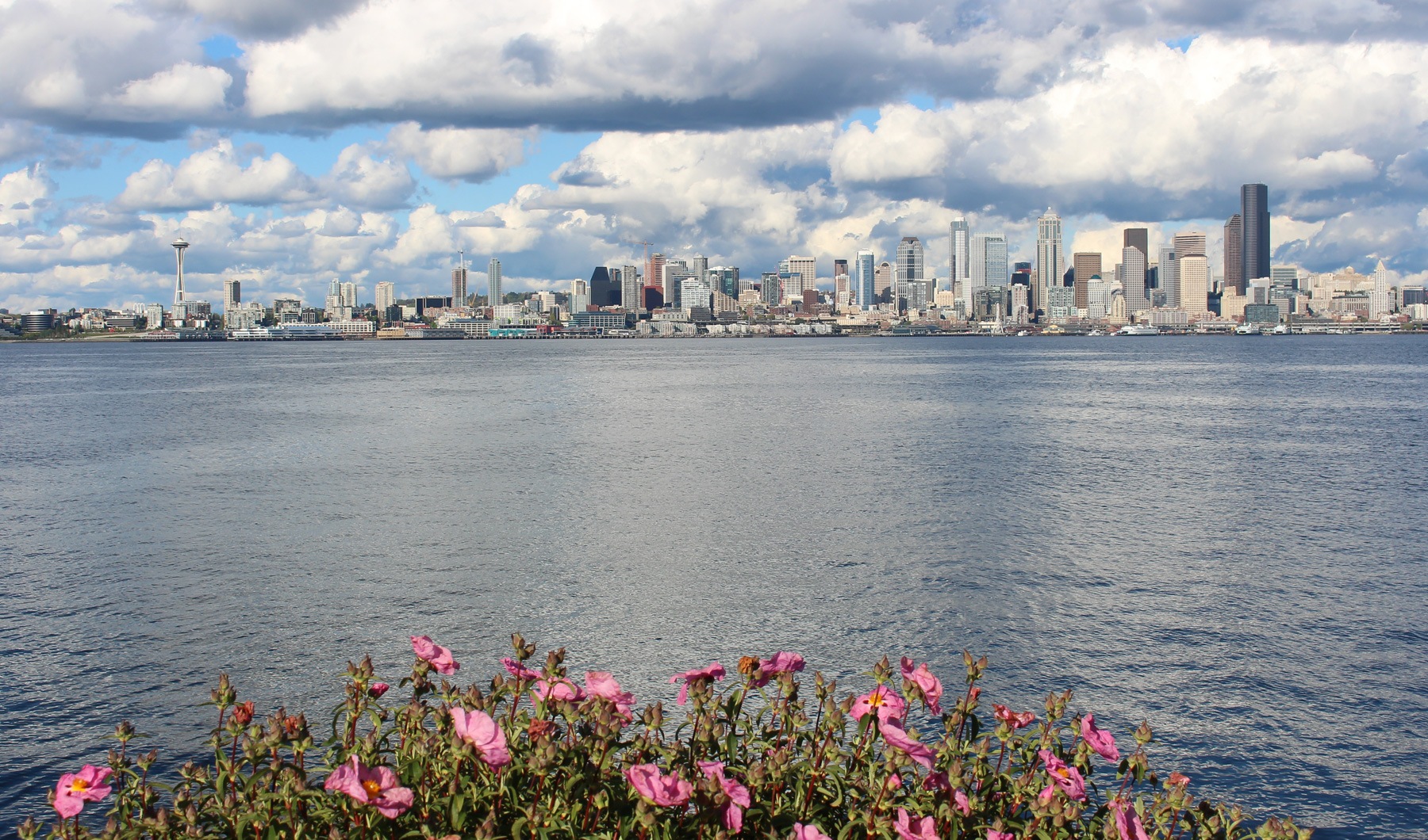 Seattle, WA Seattle, WA