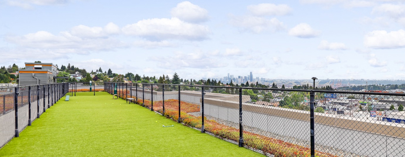 Petfriendly apartments in Seattle, WA Spruce