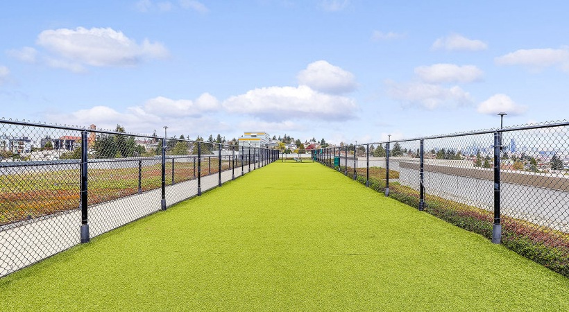 Seattle’s Largest Dog Run  Seattle’s Largest Dog Run